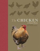 The Chicken: A Natural History 