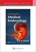 Langmanand#39; S Medical Embryology (en Inglés)