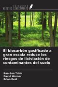El biocarbón gasificado a gran escala reduce los riesgos de lixiviación de contaminantes del suelo