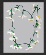 Kathleen Ryan: Daisy Chain 
