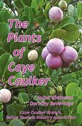 the plants of caye caulker