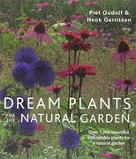 Dream Plants for the Natural Garden (en Inglés)