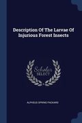 Description Of The Larvae Of Injurious Forest Insects (en Inglés)