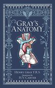 Gray's Anatomy (Barnes & Noble Leatherbound Classic Collection) 