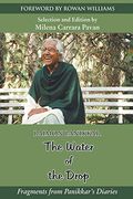 The Water of the Drop: Fragments From Panikkar Diaries (en Inglés)