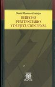 Derecho Penitenciario y Ejecucion Penal