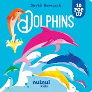 10 pop ups - Dolphins