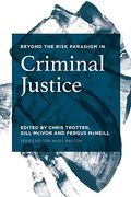 Beyond the Risk Paradigm in Criminal Justice (en Inglés)