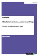 Mitarbeiterorientierte Anreize in der Pflege (German Edition)