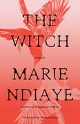 The Witch: A Novel (en Inglés)