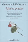 QUE ES POESIA (in Spanish)