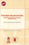 Principio de Precaución Estudio Aproximativo de su Ingreso al Derecho Penal (Universidad del Rosario) (in Spanish)