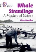 Whale Strandings: A Mystery of Nature: Band 10+ 
