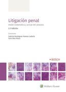 Litigación Penal (2. ª Edición): Visión Sistemática y Actual del Proceso