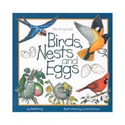 birds, nests, & eggs (en Inglés)
