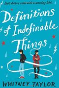 Definitions of Indefinable Things 