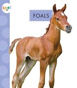 Foals (Spot Baby Farm Animals) (en Inglés)