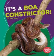 It's a Boa Constrictor! (en Inglés)