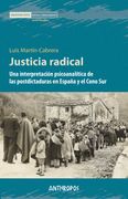 Justicia Radical: Una Interpretación Psicoanalítica de las Postdictaduras en España y el Cono sur (Memoria Rota. Exilios y Heterodoxias)