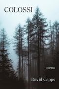 Colossi (en Inglés)