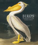 Birds: The Art of Ornithology (en Inglés)