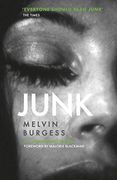 Junk: 25Th Anniversary Edition (en Inglés)