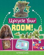 Upcycle Your Room! (Extraordinary Upcycled Crafts)