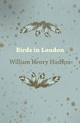 Birds in London 