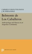 Belmonte de los Caballeros: Anthropology and History in an Aragonese Community (Princeton Legacy Library)