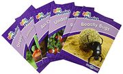 Jolly Phonics Readers Level 5, our World (en Inglés)