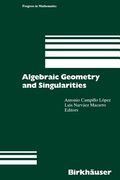 algebraic geometry and singularities