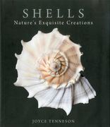 shells: nature ` s exquisite creations (en Inglés)