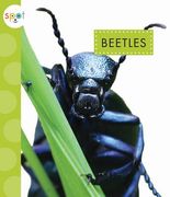 Beetles (en Inglés)