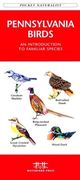 New York City Birds: A Folding Pocket Guide to Familiar Species in the Metropolitan Area (en Inglés)