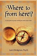 where to from here? a guide for groups working the twelve steps of rsa.