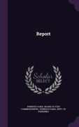 Report (en Inglés)