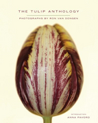 the tulip anthology