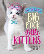 Kitten Ladys bbo Little Kitten (en Inglés)