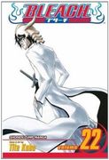 bleach 22