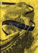 Desaparecidos de Claroluna, los