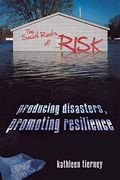 The Social Roots of Risk: Producing Disasters, Promoting Resilience (High Reliability and Crisis Management) (en Inglés)