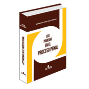 Las pruebas en el proceso penal