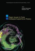 Open Issues in Core Collapse Supernova Theory (en Inglés)