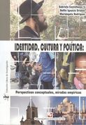 Identidad Cultura y Politica Perspectivas Conceptuales Miradas Empiricas