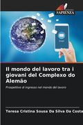 Il mondo del lavoro tra i giovani del Complexo do Alemão (en Italiano)