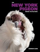 The New York Pigeon (en Inglés)