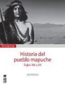 Historia del Pueblo Mapuche. Siglos xix y xx - José Bengoa - Lom
