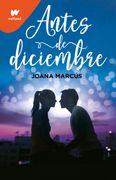 Antes de Diciembre (in Spanish)