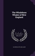 The Whalebone Whales of New England (en Inglés)