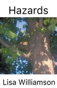 Hazards (en Inglés)